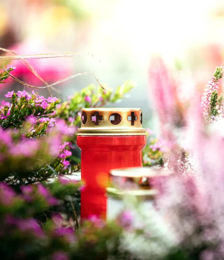 Zwei Grablichter im Fokus, umgeben von teilweise unscharf aufgenommenen Heidekrautblüten