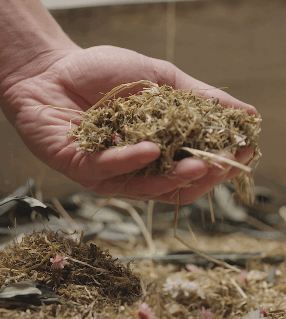 Das Bild zeigt eine menschliche Hand, die behutsam eine kleine Menge organisches Material – bestehend aus Stroh, Heu und feinen Pflanzenfasern – hält. Auf dem Untergrund liegen weitere lose Streu und einzelne zarte, rosa Blüten sowie grüne Blätter. Die Szene wirkt natürlich und friedlich. In der rechten unteren Ecke steht das weiße Wort „MEINE ERDE“