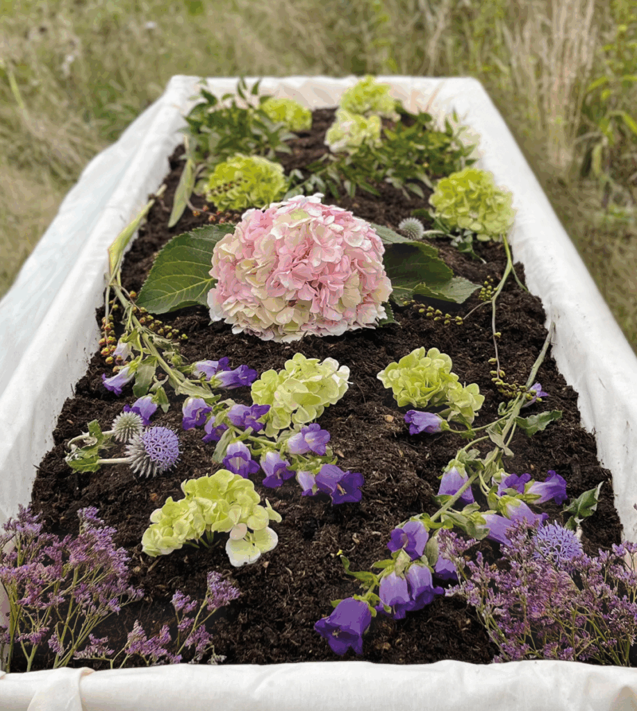 Ein Sarg, gefüllt mit dunkler, fruchtbarer Erde, aus der frische, rosafarbene Blumen und zarte grüne Pflanzen wachsen – ein Bild für neues Leben, das aus der Erde hervorgeht