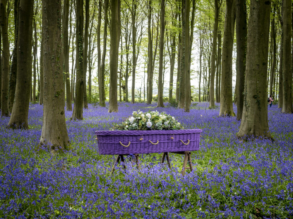 Eine Ruhige Waldlichtung wo ein Sarg asu geflochtene Weide von ATlier Magnolia bestattungen aufgestellt ist.